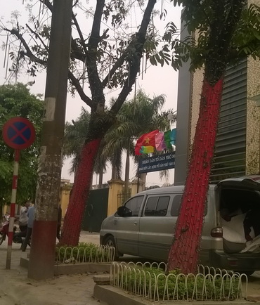 Cây xanh Hà Nội bị lạm dụng đủ kiểu ảnh 9